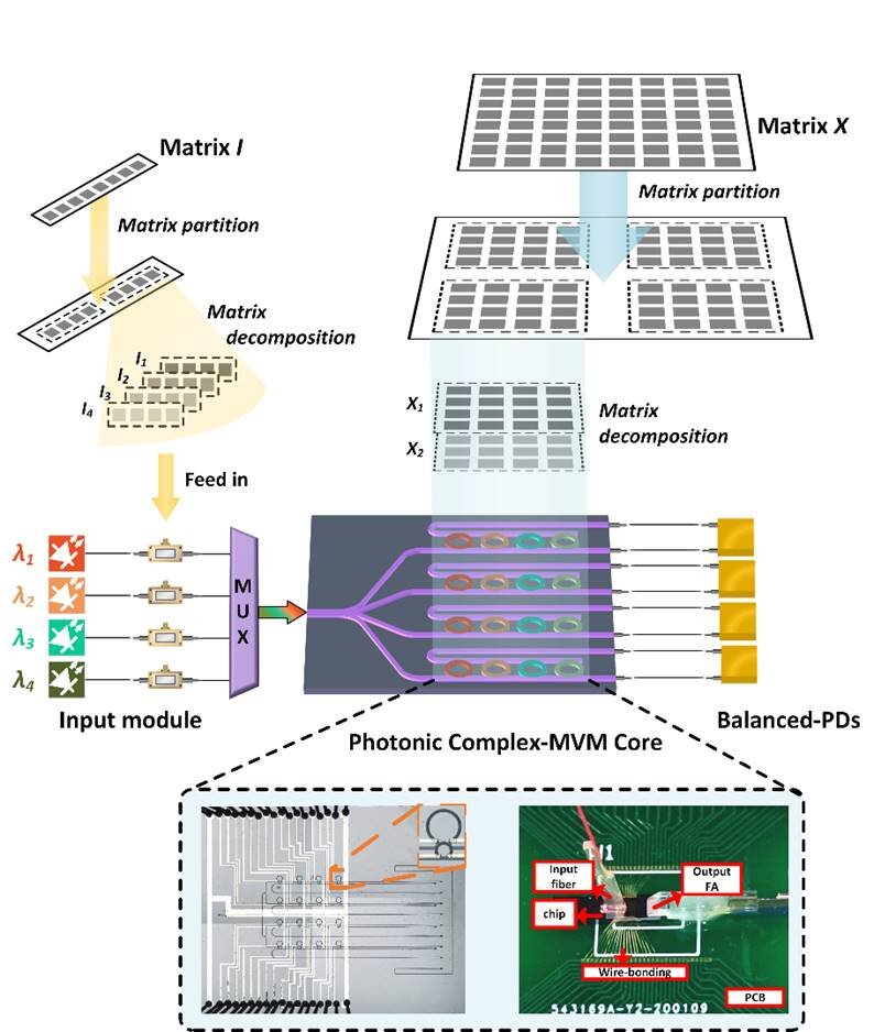 Small microring array enables large complex-valued matrix multiplication